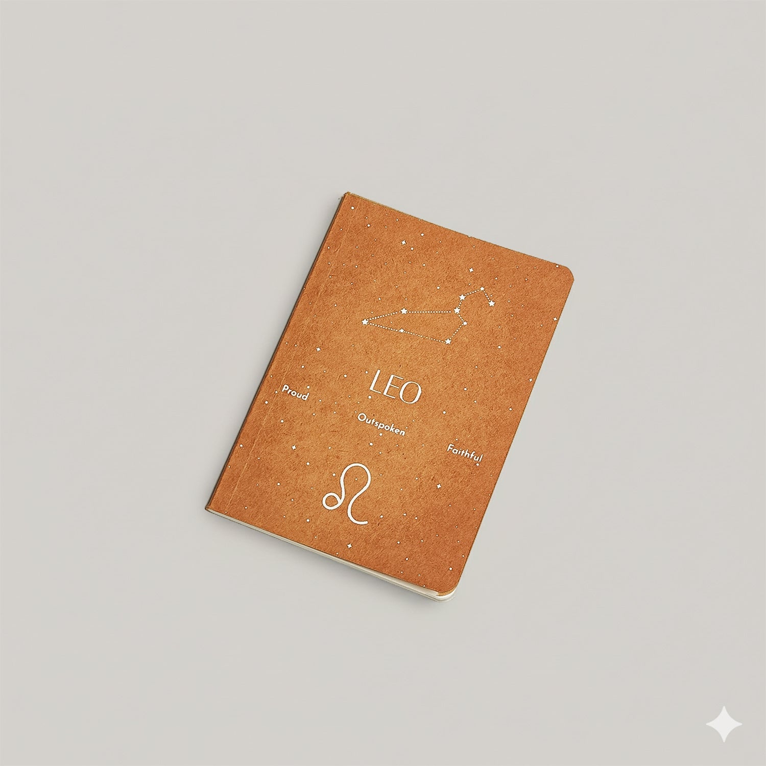 Leo Notebook